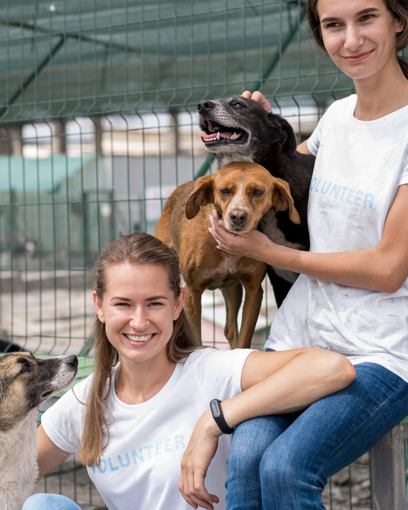 smiley woman spending time with cute rescue dogs shelter (2)